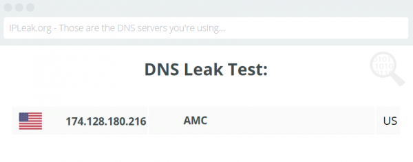 IPleak.org results for TunnelBear DNS leak test